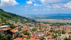 Bursa