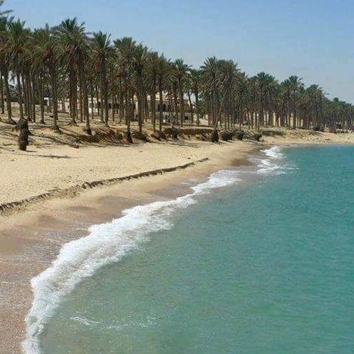 Al Arish